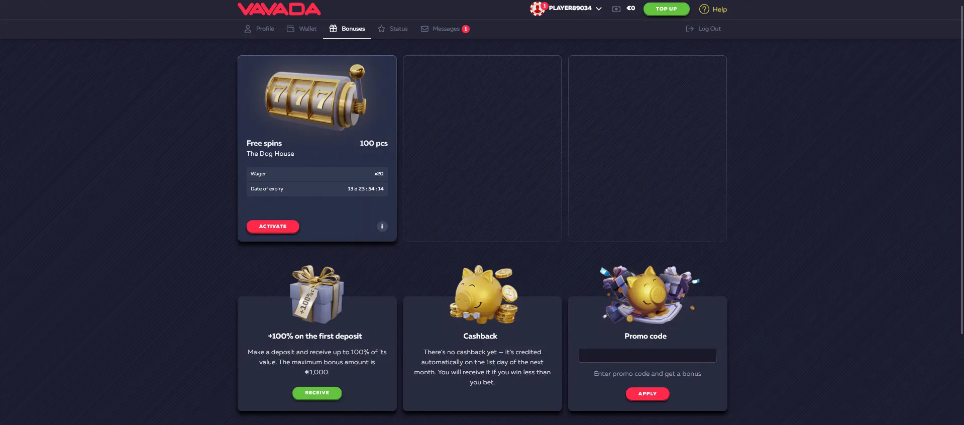 Bonus System and Promotions at VAVADA